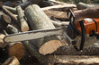 Chainsaw in action. Cutting wood with sawdust flying. Professional equipment 
