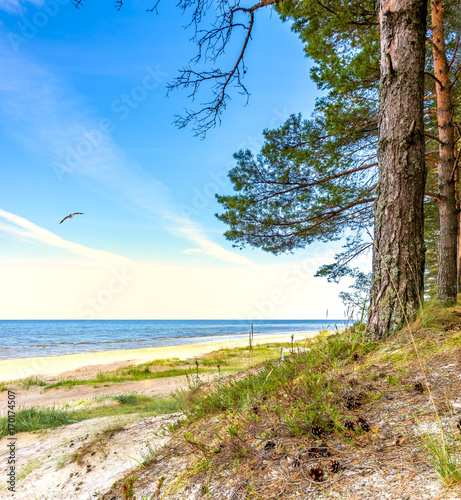 Dekoracja na wymiar  krajobraz-przybrzezny-letni-dzien-nad-morzem-baltyckim-europa