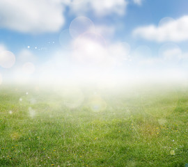 Canvas Print - Spring grass and sky background