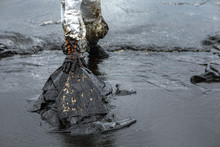 Workers Remove And Clean Up Crude Oil Spilled With Absorbent Paper