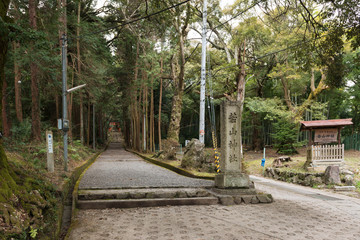 Wall Mural - 若山神社