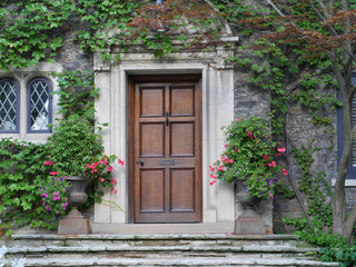 Wall Mural - wooden front door of house with ivy and flower pots