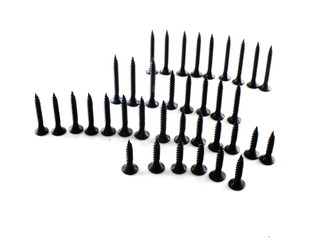 various screws on a white background