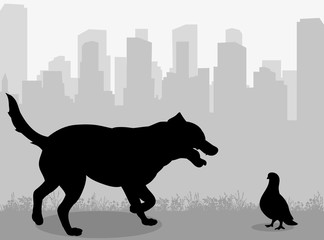 Wall Mural - vector, isolated silhouette dog and pigeon