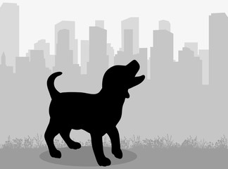 Wall Mural -  isolated silhouette dog