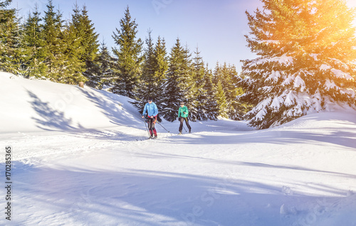 Dekoracja na wymiar  narciarstwo-biegowe-w-zimowym-krajobrazie