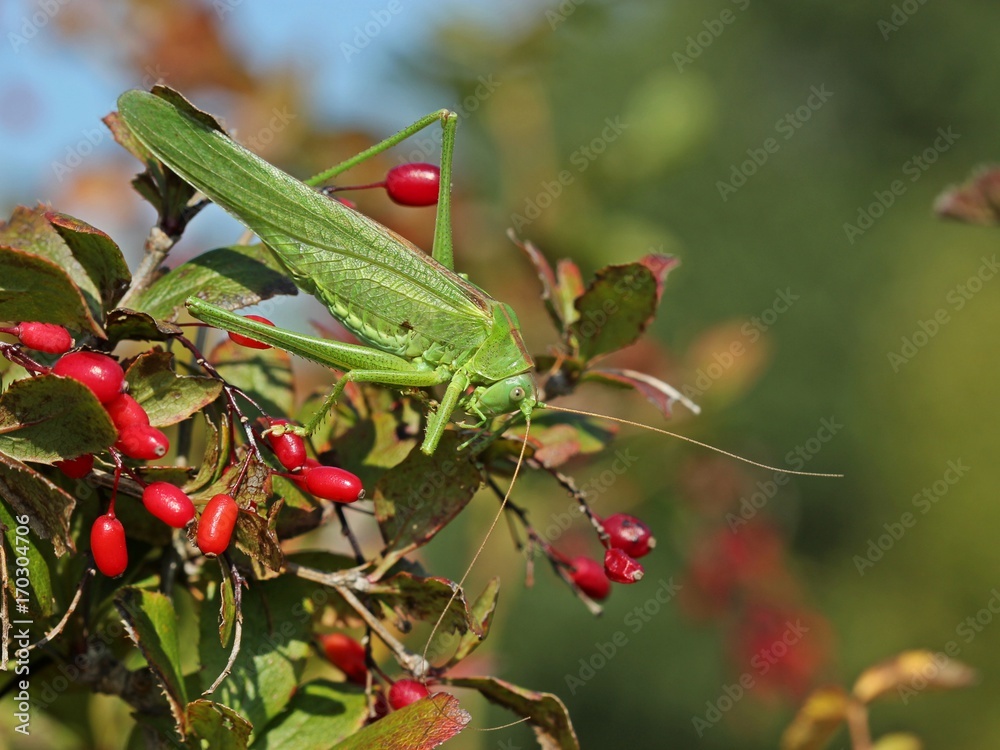 1000_F_170304706_DXdddSHpZbASm7CFngcLe3schg3rBFLF.jpg