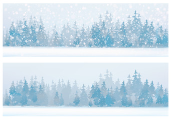 Wall Mural - vector winter snow scenes with forest background.