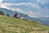Fototapeta Konie - View of the mountains