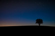 Einsamer Baum im Sternenhimmel