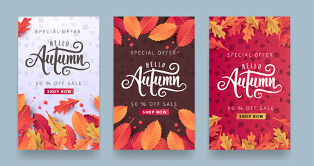 Wall Mural - autumn sale background layout decorate with leaves for shopping sale or promo poster and frame leafl