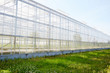 Outdoor view of large glasshouse and green lawn near by