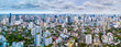 Bangkok urban panorama