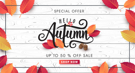 Autumn sale background layout decorate with leaves for shopping sale or promo poster and frame leaflet or web banner.Vector illustration template.