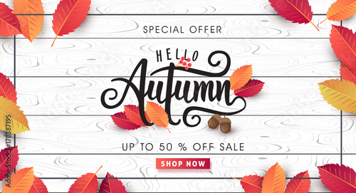 Zdjęcie XXL Jesieni sprzedaży tła układ dekoruje z liśćmi dla robić zakupy sprzedaż, promo plakata i ramy ulotki lub sieć sztandar. Wektorowy ilustracyjny szablon.