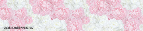 pattern panorama trendy  pale pink  and white peonies