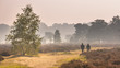 © creativenature.nl - Couple walking along path through heathland