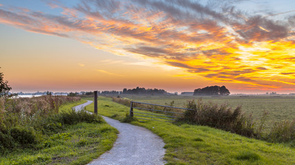 Poster - Winding cycling track through Dutch Polder