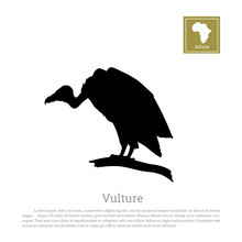 Black Silhouette Of A Vulture On A White Background. African Animals. Vector Illustration
