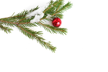 Wall Mural - Christmas background. Fir branches isolated on white background. Christmas tree. Christmas toys, snow, fir, rowan in frost, top view. Composition of fir branches, pattern. Christmas frame.