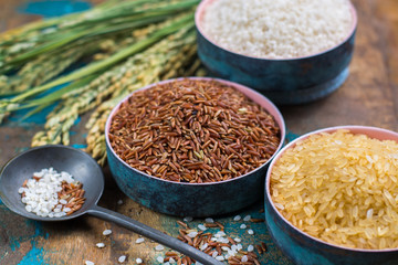 Green rice ears from Camargue rice fields in France and valiety of dried rice in bowls