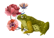 Toad With Bunch Of Flowers