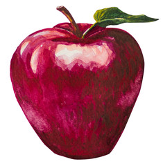 Apple picture and painted with watercolor.