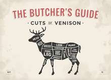 Cut Of Meat Set. Poster Butcher Diagram, Scheme - Venison. Vintage Typographic Hand-drawn Deer Silhouette For Butcher Shop, Restaurant Menu, Graphic Design. Meat Theme. Vector Illustration
