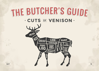 cut of meat set. poster butcher diagram, scheme - venison. vintage typographic hand-drawn deer silho