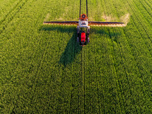 Farmer Spraying Green Wheat Field