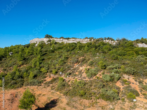 Fotomural Paysage de garrigue dans le sud de la France