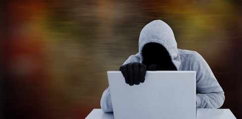 Poster - Composite image of hiker in gray hoodie and gloves using laptop