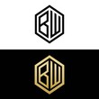 initial letters logo bw black and gold monogram hexagon shape vector