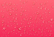 Realistic transparent water drops. Pure condensed droplets on bright pink background. Wet surface and clear liquid formed by condensation. Vector illustration.
