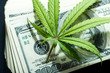 Money and marijuana