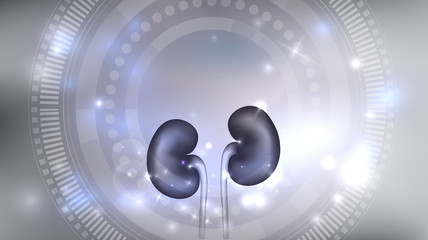 Wall Mural - Kidneys 3d illustration abstract blue scientific background