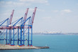 Deserted port terminal in a harbour for loading and offloading cargo ships and freight with rows of large industrial cranes to lift goods off the decks and from the holds