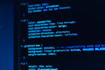 Wall Mural - software development. software source code. programming code. writing programming code on laptop.