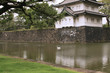 A swan swimming in the moat of the Imperial Palace in Tokyo, Japan