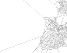Black Spider Web Silhouette On White Vector Background
