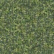 Seamless Tileable Natural Ground Field Texture Background