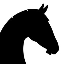 Horse Head Vector Illustration  Black Silhouette  Profile Side