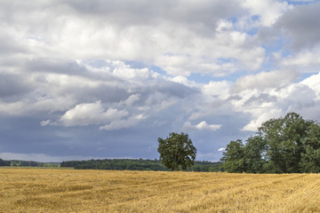 Wall Mural - rural landscape with clouds