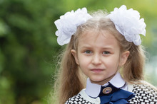 Portrait Of The Beautiful Little Girl With The White Bows In A School Dress. First-grader. Green Background.