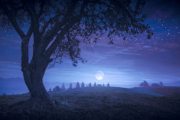 the full moon rising in a carpathian mountain valley