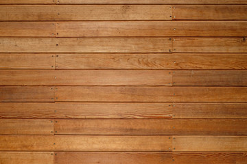 Wall Mural - Texture of wood background closeup