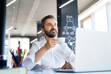 Wall Mural - Businessman at the desk with laptop in his office.