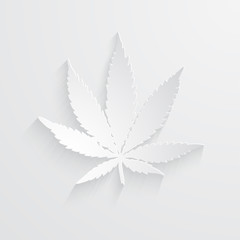 Marijuana or cannabis vector leaf paper style