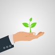 © ajibon - Hand with leaf - nature conservation concept. Vector illustration