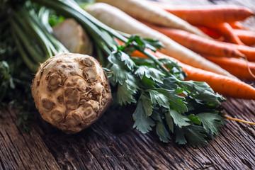 Wall Mural - Vegetable. Fresh root vegetable celery carrot and parsnip on rustic oak table